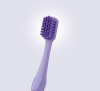 pesitro-12680-Lilov pesitro-12680-Lilov