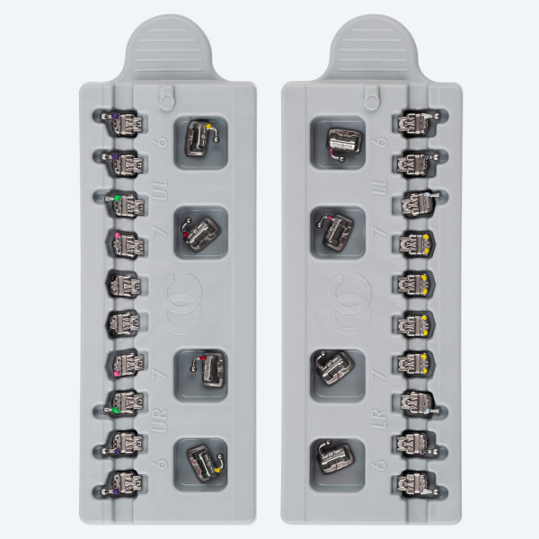 Обе челюсти (2)