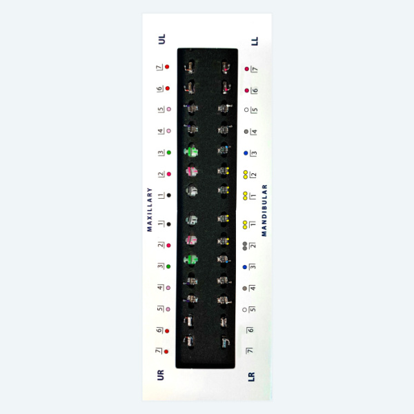 10 10