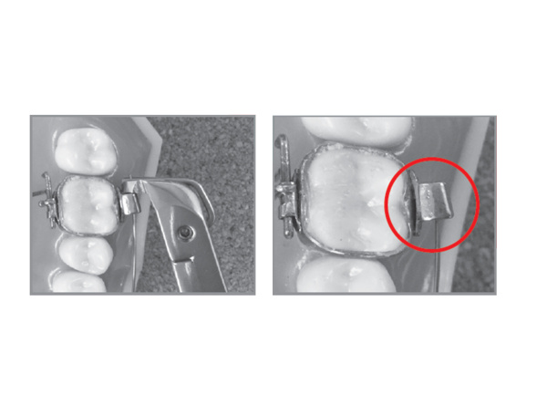 Без имени-1 Без имени-1