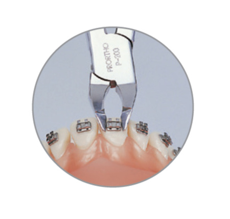 Без имени-1 Без имени-1