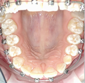 Тимуш Ольга Олеговна